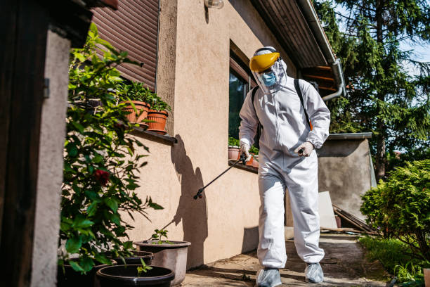 Professional Pest Control in Scotts Hill, TN