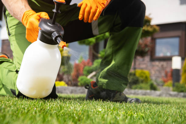 Best Pest Control for Businesses  in Scotts Hill, TN