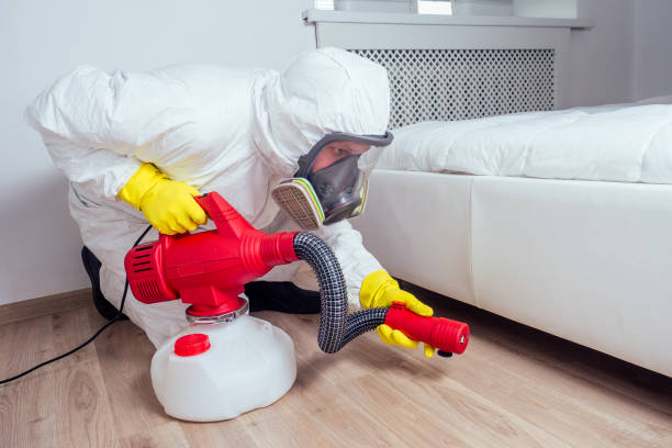 Best Exterminator Services  in Scotts Hill, TN
