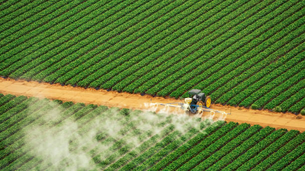 Best Mosquito Control Services  in Scotts Hill, TN