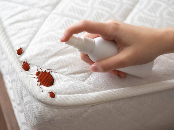 Best Mosquito Control Services  in Scotts Hill, TN