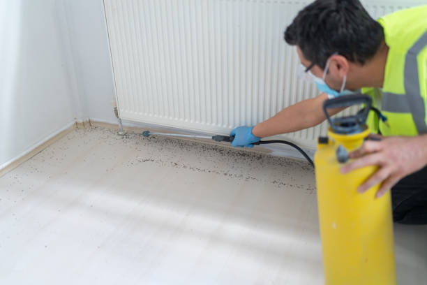 Best Emergency Pest Control  in Scotts Hill, TN