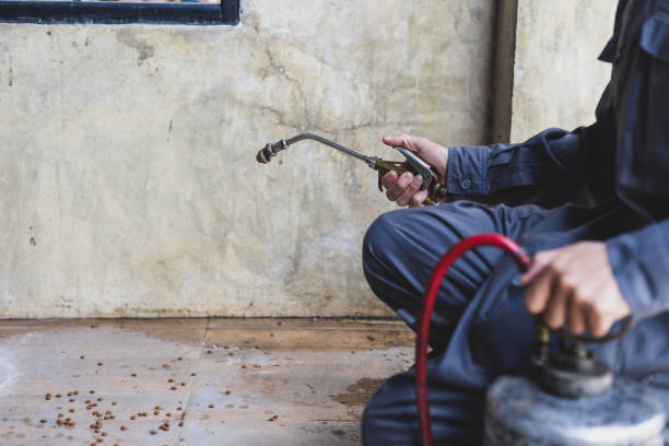 Best Pest Inspection Near Me  in Scotts Hill, TN